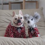 Buru French Bulldog Sweater