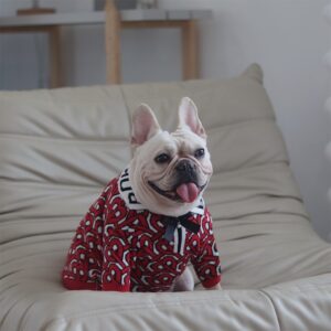buru-french-bulldog-sweater-new-pics-4