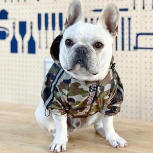 Camo Reflective French Bulldog Windbreaker Jacket