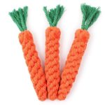 Carrot Rope Chew Toy - Set of 3