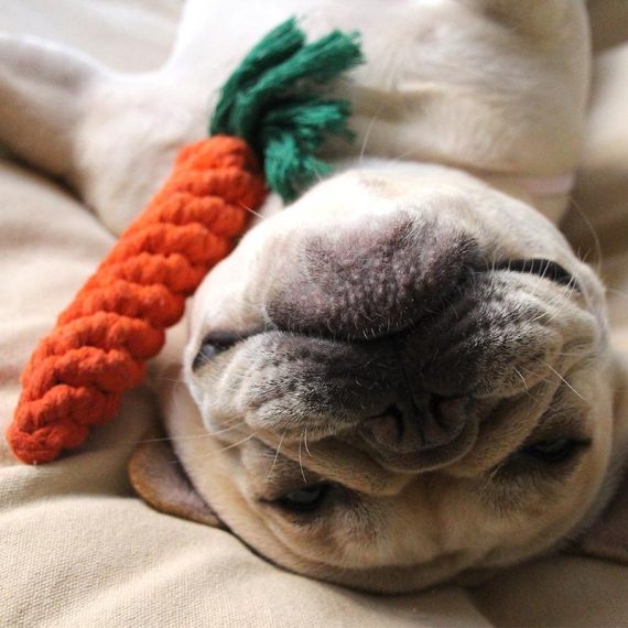Carrot Rope Chew Toy - Set of 3