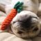 Carrot Rope Chew Toy - Set of 3