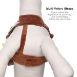 Cowboy Dog Costume