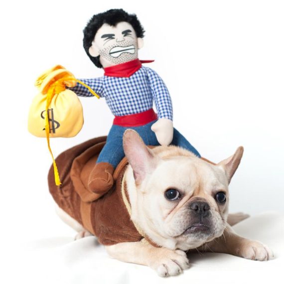 Cowboy Dog Costume