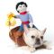 Cowboy Dog Costume