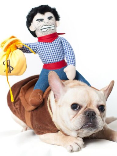 Cowboy Dog Costume