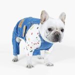 Frenchie Street Style Denim Overalls