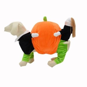 Dog Carrying Pumpkin Costume