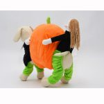 Dog Carrying Pumpkin Costume
