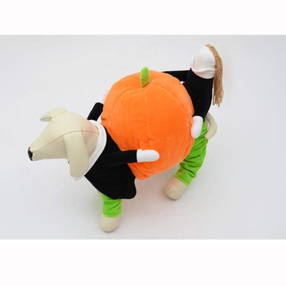 Dog Carrying Pumpkin Costume