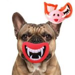 Funny Mouth Sweaky Dog Toy