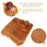 Dog Lion Headgear