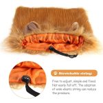 Dog Lion Headgear