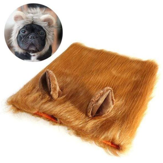 Dog Lion Headgear