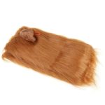 Dog Lion Headgear
