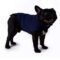 SnugFit Anxiety Relief Jacket for French Bulldogs
