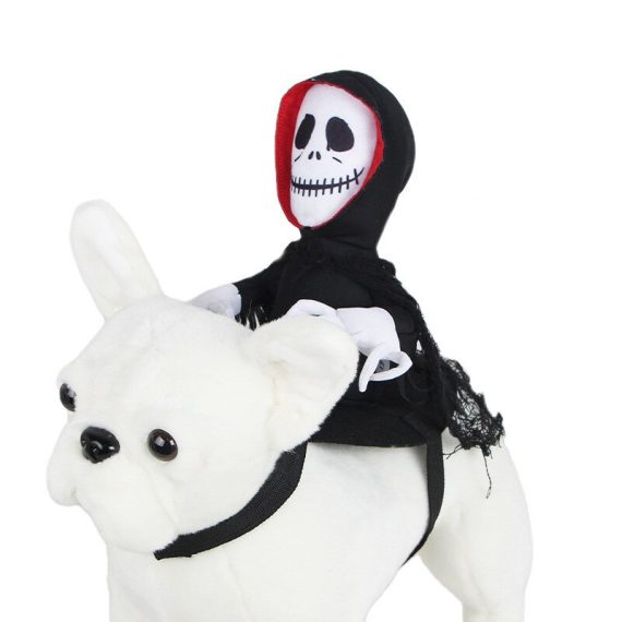 Ghost Rider French Bulldog Costume