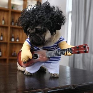 Guitar Player Dog Costume