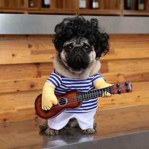 Guitar Player Dog Costume