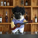 Guitar Player Dog Costume