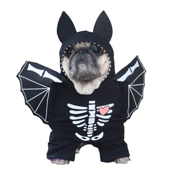 Halloween Bat French Bulldog Costume