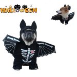 Halloween Bat French Bulldog Costume