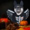 Halloween Bat French Bulldog Costume
