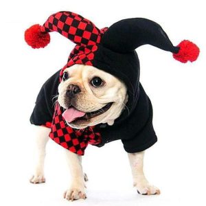 Joker Dog Halloween Costume