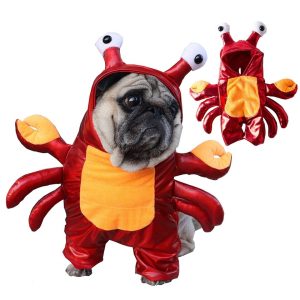 Pawsome Crab French Bulldog Costume