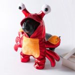 Pawsome Crab French Bulldog Costume