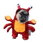 Pawsome Crab French Bulldog Costume
