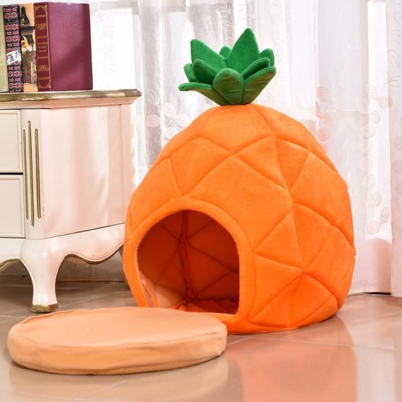 Pineapple Paradise Frenchie House