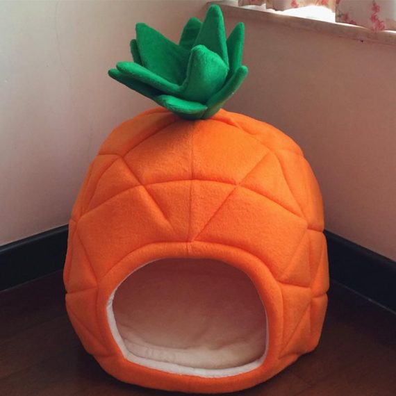 Pineapple Paradise Frenchie House