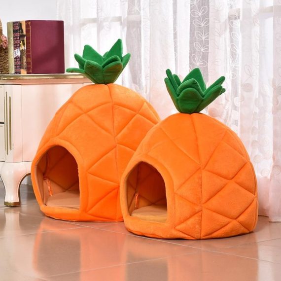 Pineapple Paradise Frenchie House