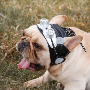 Retro Pilot Dog Hat For Frenchie