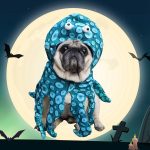 Smashed Octopus French Bulldog Costume