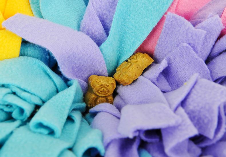 IQ Development Rainbow Snuffle Mat