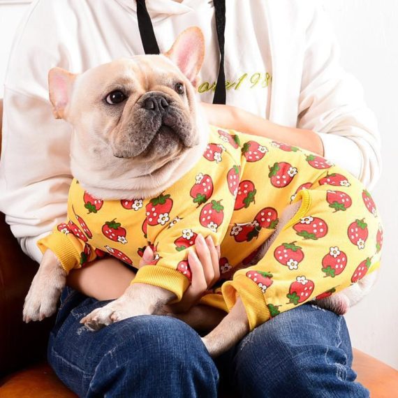 Strawberry Cotton Dog Pajamas | BATPIG Pet Supply