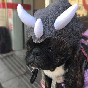 Triceratops Dinosaur Headgear