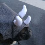 Triceratops Dinosaur Headgear