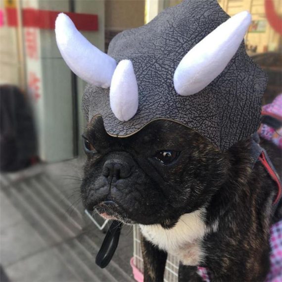 Triceratops Dinosaur Headgear
