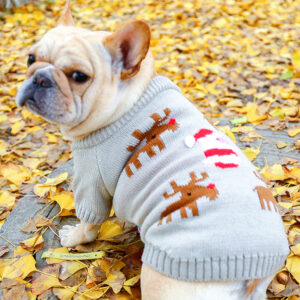 Festive Reindeer Santa French Bulldog Sweater by BATPIG-1