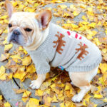 Festive Reindeer Santa French Bulldog Sweater