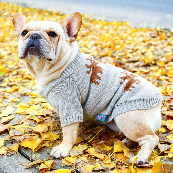 Festive Reindeer Santa French Bulldog Sweater