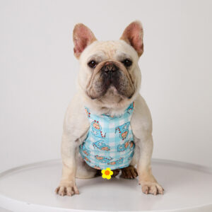 French Bulldog Anti-Heatstroke Vest with Matching Cooling Ice Scarf