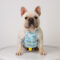 French Bulldog Anti-Heatstroke Vest with Matching Cooling Ice Scarf