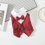 French Bulldog Tailcoat