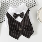 French Bulldog Tailcoat