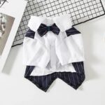 French Bulldog Tailcoat