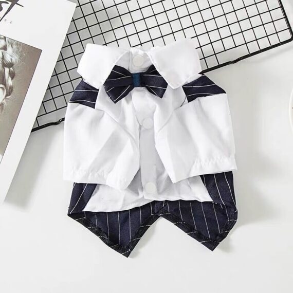 French Bulldog Tailcoat
